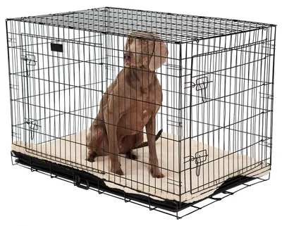 Produktbild von Brixy Hundebox – Hundebox – Größe XL – zusammenklappbar – 107 x 72 x 77 cm – 2 Türen – Schwarz