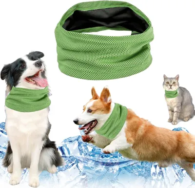 Immagine prodotto di Fascia per cani - Taglia M - Imbottita - Traspirante