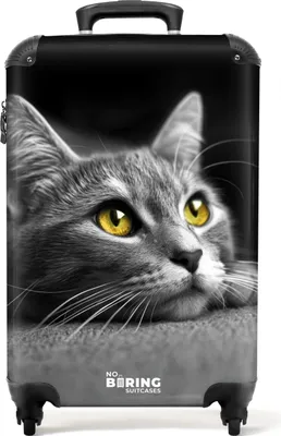 Produktbild von NoBoringSuitcases.com® Koffer Handgepäck Trolley Rollkoffer Kleine Reisekoffer mit 4 Rollen - Schwarz-weiße Katze mit gelben Augen - Cabin Size < 55x40x23 cm & 55x40x20 cm - Fotokoffer - Kabinenkoffer - BoardgepäckHandgepäck Koffer 55x35x20 cm, 36L,