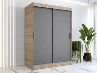 A modern wardrobe with sliding doors in a room with plants and decorative wall panels.