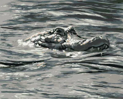 Produktbild von Zuty - Malen nach Zahlen - ALLIGATORKOPF IM WASSER (D. RUSTY RUST), 40x50 cm, mit Keilrahmen (bereits gespannt)