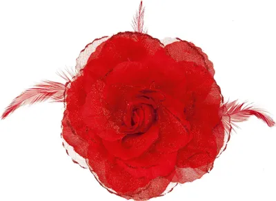 Produktbild von Ansteckblume, rot