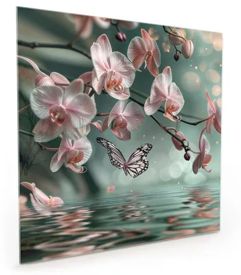 Produktbild von Küchenrückwand Spritzschutz Glas mit Motiv Orchideen Schmetterling 40 x 40 cm