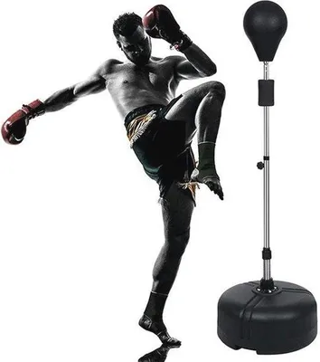 Produktbild von Famanu Boxtrainer verstellbar 120-160 cm - Stehender Punchingball mit Boxlampe für Erwachsene