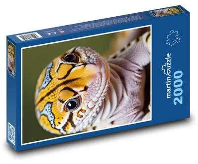 Produktbild von martinpuzzle - Puzzle 2000 Teile - Leopardengecko