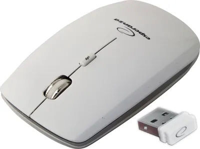 Produktbild von Esperanza EM120W Maus RF Wireless Optisch 2400 DPI