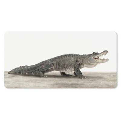 Produktbild von MuchoWow® Schreibtischunterlage Kinder - Krokodil - Junge - Kinder - Mädchen 80x40 cm - XXL Mauspad - Gaming Mauspad