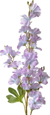 Immagine prodotto di Fiore artificiale Clayre & Eef 100 cm plastica viola