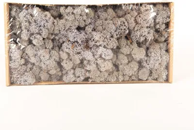 Produktbild von INNA-Glas Dekoratives Moos SVEINBJÖRN, Lavendel, 500g - Echtes Isländisches Moos