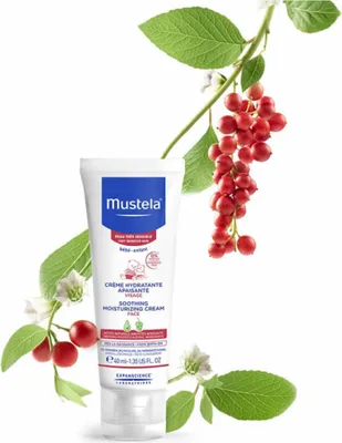 A tube of Mustela baby cream is shown in front of a white background, with branches of red berries and green leaves framing the product.
