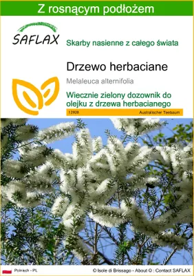 Zdjęcie produktu dla SAFLAX - Drzewo herbaciane - 400 Nasiona - Z podłożem uprawowym wolnym od zarazków - Melaleuca alternifolia