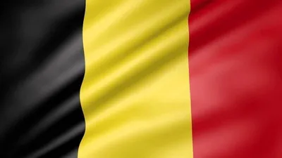 Obrázok produktu pre Talamex Belgium Národná vlajka 30 x 45 cm