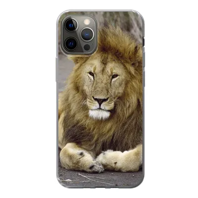 Produktbild von MuchoWow® Handyhülle Schutzhülle Hülle für iPhone 13 Pro Löwe - Afrika - Tier Silikon Softcase Handy Hülle - Handy-Tasche