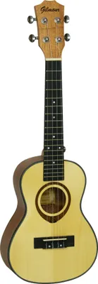 Image de Gilmour soprano