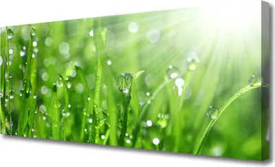 Produktbild von Tulup Leinwand-Bilder 125x50 Wandbild Canvas Kunstdruck Gras Natur