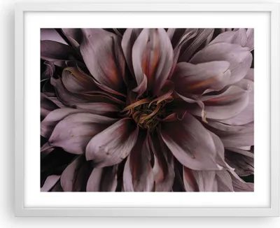 Produktbild von Gerahmtes Poster - Weißer Rahmen - Blumenstrauß Künstlerisch Blume - 50x40 cm - Wand Bild - Wanddeko - Wandbilder - Kunstposter - Wandposter - Bilderrahmen - Bilder - Kunstdruck - P2WAA50x40-5019