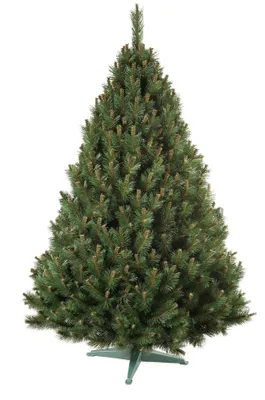 Obrázek produktu pro Nohel Garden NG91412 stromek BOROVICE umělý vánoční + stojan Výška: 180 cm