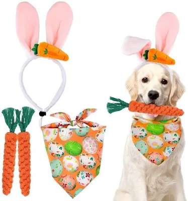 Produktbild von Hundefestkostüm für Ostern - mit Kaninchenohren und Karotten Spielzeug - für kleine und mittelgroße Hunde