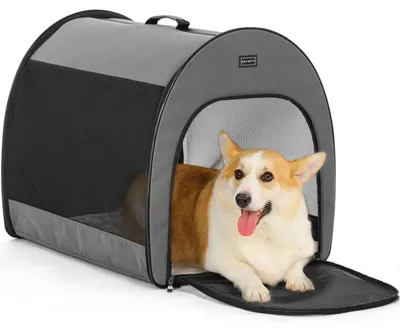 Image de Cage de transport pour chien, grande, modèle pliable, couleur grise, dimensions : 57 x 57 x 77 cm