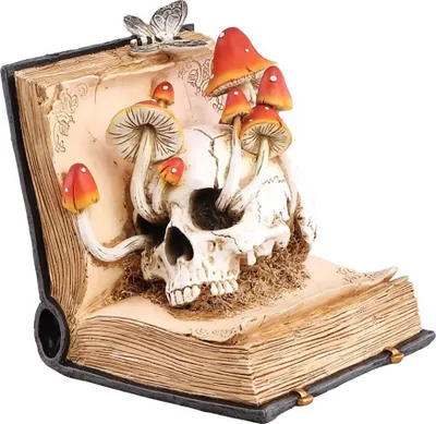 Produktbild von Vermodertes Zauberbuch Deko