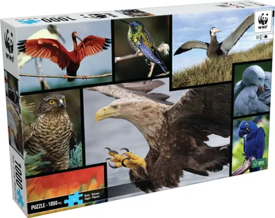 Produktbild von WWF Puzzle Vögel (1000 Teile) Puzzel Jigsaw Birds Adler Albatros Papagei