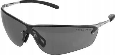 Image de Bollé Safety SILIUM Lunettes à branches fumées SILPSF