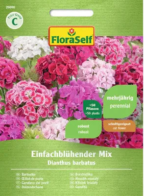 Obrázek produktu pro Hvozdík mix FloraSelf
