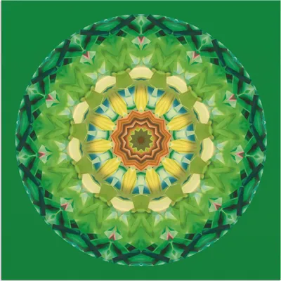 Produktbild von ARTland Wandbild Alu für Innen & Outdoor Mandala II Größe: 70x70 cm