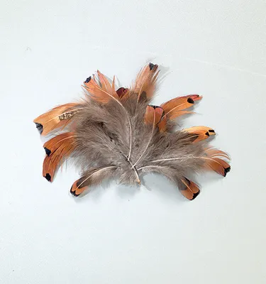Produktbild von efco Herzfasan Naturfedern, 10 cm, 2 g, Bastelmaterial für Dekorationen & Karten