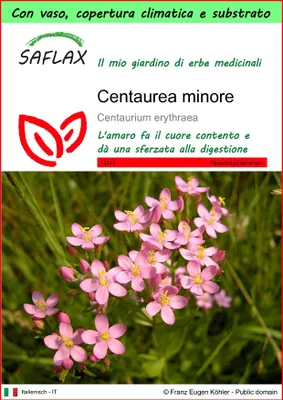 Immagine prodotto di SAFLAX Garden to go - Centaurea minore - 250 semi - Centaurium