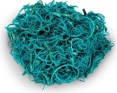 Produktbild von Curly Moos aquamarin ca. 50 g Dekomoos Tamarindenfaser Basteln Floristik Deko