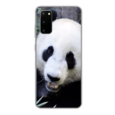Produktbild von MuchoWow® Handyhülle Schutzhülle Hülle für Samsung Galaxy S20 Panda - Tier - Blätter Silikon Softcase Handy Hülle - Bild