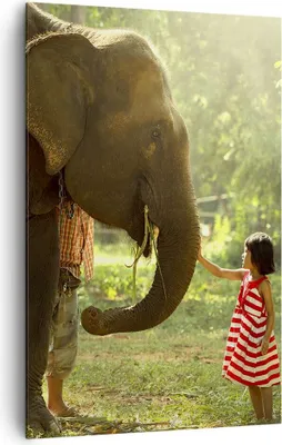 Produktbild von Bild auf Leinwand - Leinwandbild - Einteilig - Elefant Tier - 80x120cm - Wand Bild - Wanddeko - Wandbilder - Leinwanddruck - Kunstdruck - Wanddekoration - Leinwand bilder - Wandbild - PA80x120-3884