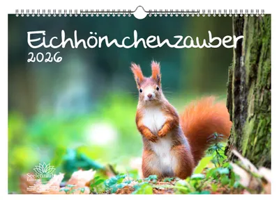 Produktbild von Eichhörnchenzauber DIN A3 Kalender für 2026 Eichhörnchen - Seelenzauber