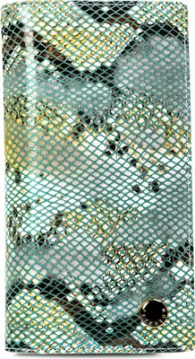 Image de Portefeuilles Peterson PTN421431SFL