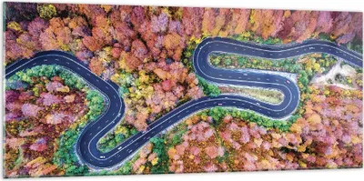 Produktbild von Bilder auf glas - Einteilig - Kurvenreich Weg Wald - 120x50cm - Glasbilder - Wandbilder - Bilder - zum Aufhängen bereit - Wanddekoration aus Glas - Glas Bilder - Wandbild auf Glas - GAB120x50-4291