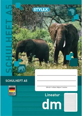Produktbild von Stylex 29715 Schulheft, Lineatur DM, DIN A5, 16 Blatt