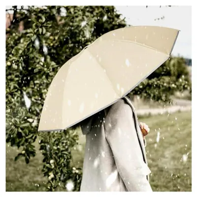 Produktbild von Sturmfester Regenschirm, Taschenschirm für Herren und Damen, Umgekehrter Regenschirm mit 10 Rippen, Holzgriff, Automatisch Auf und Zu, kompakt, Durchmesser 105 cm