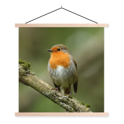 Produktbild von MuchoWow® Textilposter Vogel - Rotkehlchen - Zweig - Pflanzen 40x40 cm mit holzfarbenen Rahmen - Posterleiste