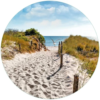 Produktbild von Wallario Premium Glasbild, freischwebende Optik, kräftige Farben, rund 50cm Durchmesser, Motiv Möwen auf dem Weg zum Strand