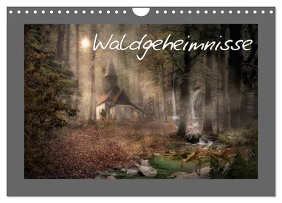 Produktbild von Waldgeheimnisse (Wandkalender 2027 DIN A4 quer), CALVENDO Monatskalender