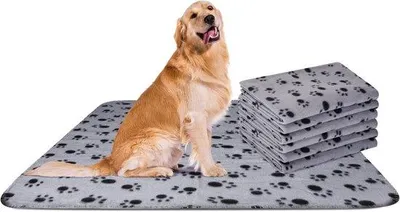 Immagine prodotto di 6 morbide coperte in pile per animali, lavabili, per cani e gatti di taglia piccola e media, 120 x 100 cm, grigio.