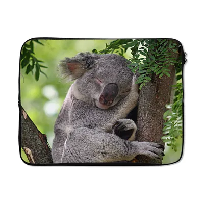 Produktbild von MuchoWow® Laptop Hülle 15 Zoll Koala - Porträt - Blätter Laptoptasche - Laptoptasche - Sleeve - Rundum-Schutz