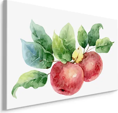 Produktbild von Fabelhafte Canvas LEINWAND BILDER 30x20 cm XXL Kunstdruck Obst Äpfel Blätter Aquarell