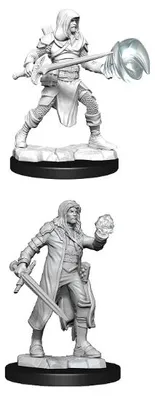 Obrázek produktu pro Nolzur's Marvelous Miniatures Mužský bojovník a mužský čaroděj