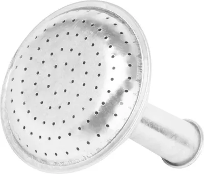 Produktbild von PROREGAL Verzinkter Brauseaufsatz für Gießkannen