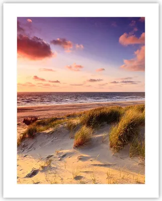 Produktbild von Poster - Poster ohne Rahmen - Meer Strand Düne - 40x50 cm - Wand Bild - Wanddeko - Wandbilder - Kunstposter - Wandposter - Bilder - Kunstdruck - Wanddekoration - Wandbild - P2XPA40x50-3540