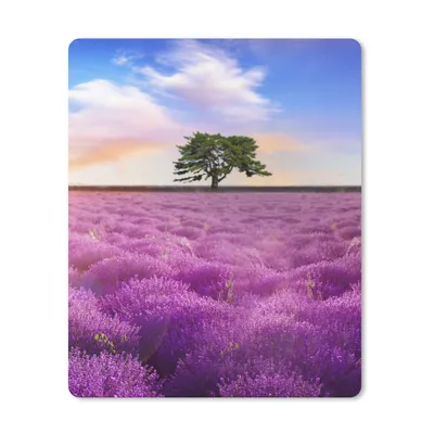 Produktbild von MuchoWow® Mauspad Mousepad Lavendel - Baum - Sonnenuntergang - Lila 19x23 cm - Mousepads - Maus Mat - Pad - Mausunterlage - Mauspads - Spielen