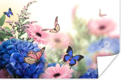 Produktbild von MuchoWow® Poster Schmetterlinge - Blumen - Hortensie - Insekten 60x40 cm - Schlafzimmerdekoration