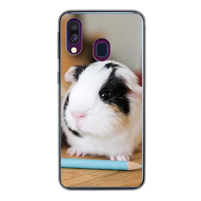 Produktbild von MuchoWow® Handyhülle Schutzhülle Hülle für Samsung Galaxy A40 Entzückende Baby-Meerschweinchen Silikon Softcase Handy Hülle - Handy-Tasche